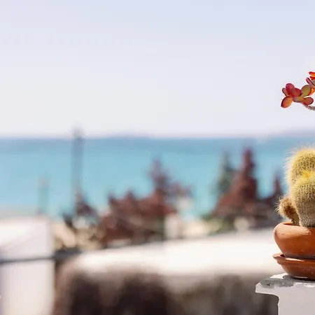 Celini Retreat آغيوس بروكوبيوس